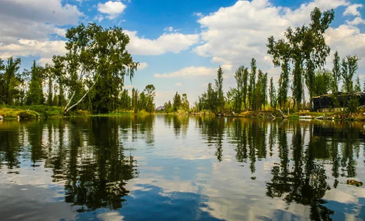 ¿Qué está pasando con Xochimilco?