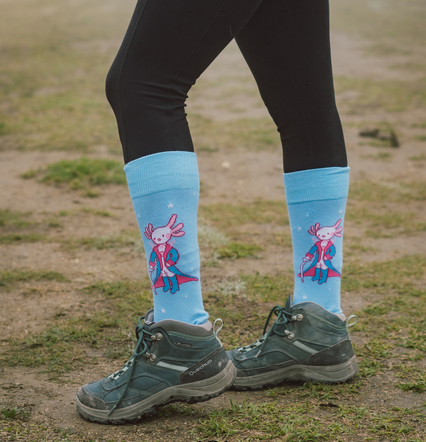 ALL SOX's