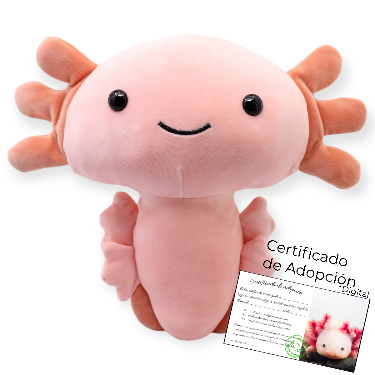 Adopta un Ajolote