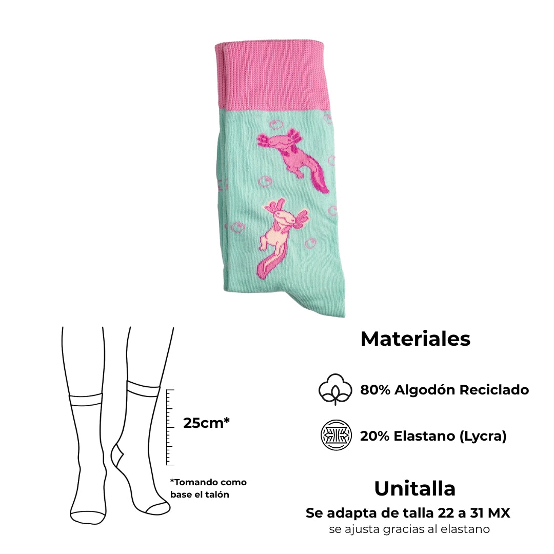 Ajolotines Aqua