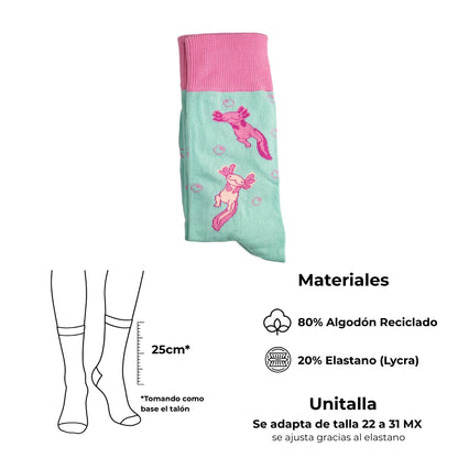 Ajolotines Aqua