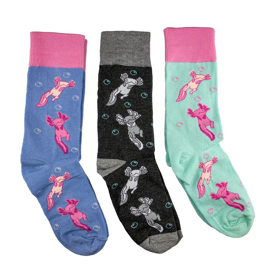 Colección Ajolotines