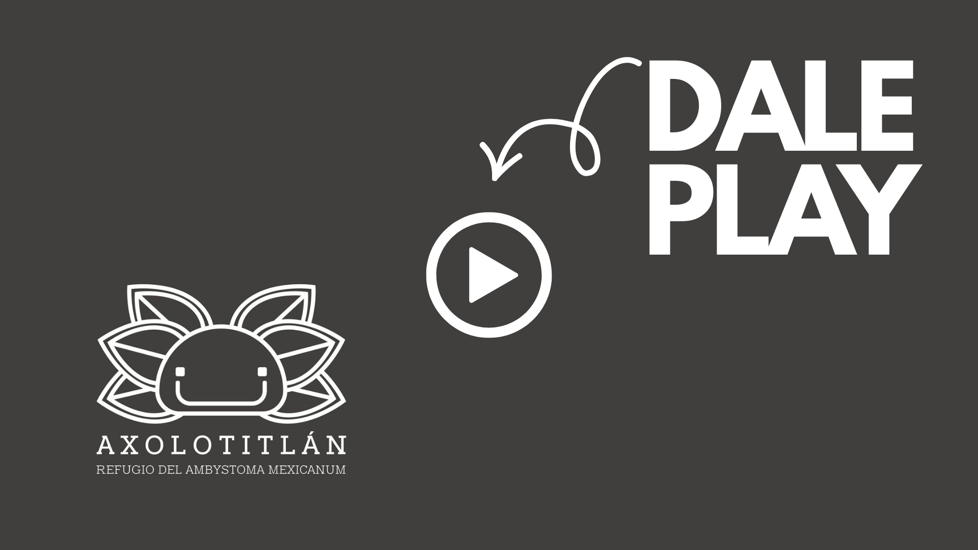 Cargar video: 