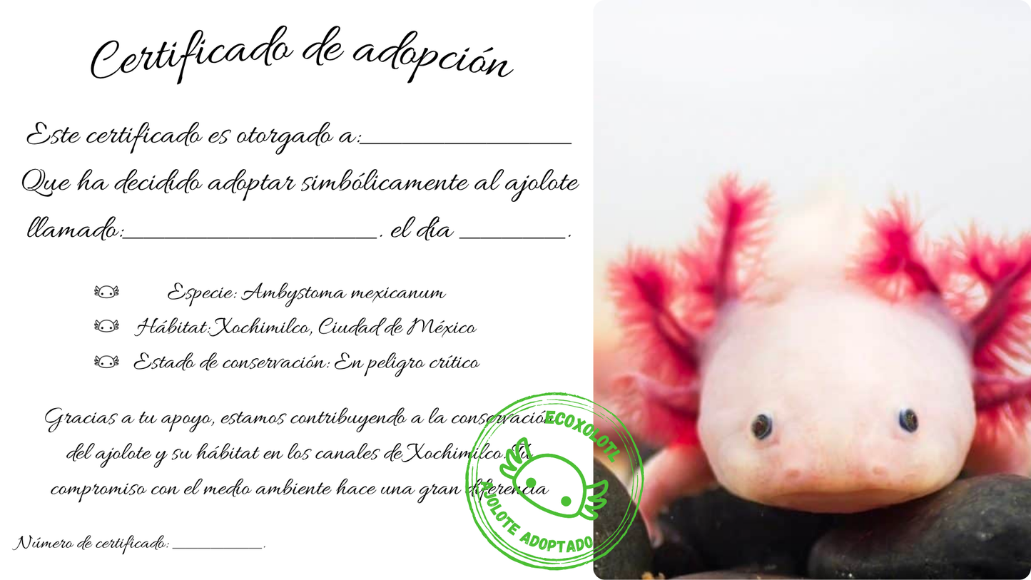 Adopta un Ajolote
