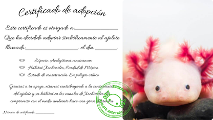 Adopta un Ajolote