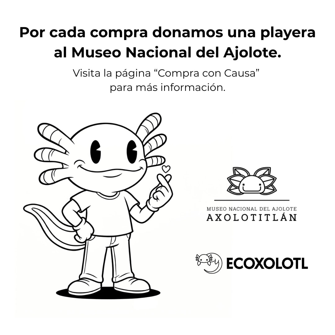 El Sueño