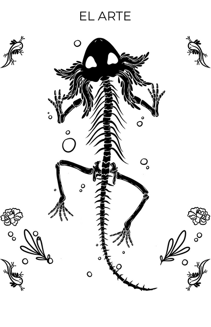 Omiyotl (Lil Sidereal)