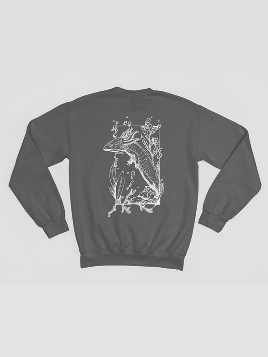 Monstruo de Agua (Pull)