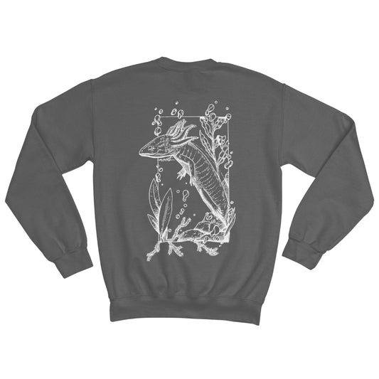Monstruo de Agua (Pull)
