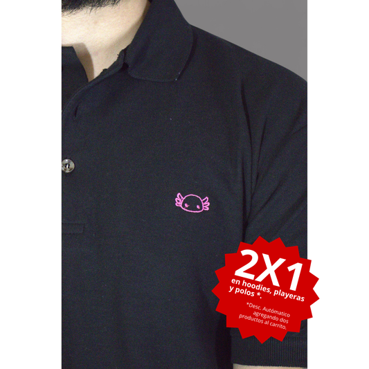 Polo Monstruo de Agua Negra