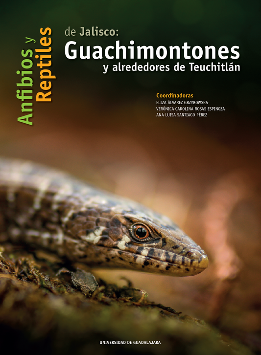 Anfibios y Reptiles de Jalisco: Guachimontones y alrededores de Teuchitlán