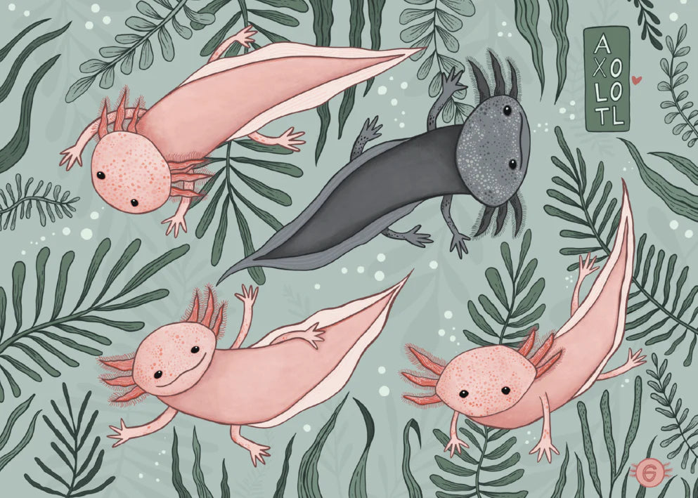 Rompecabezas Axolotl