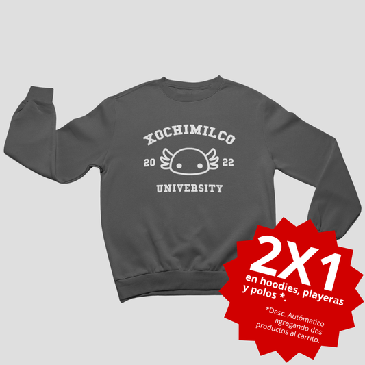 Xochimilco University