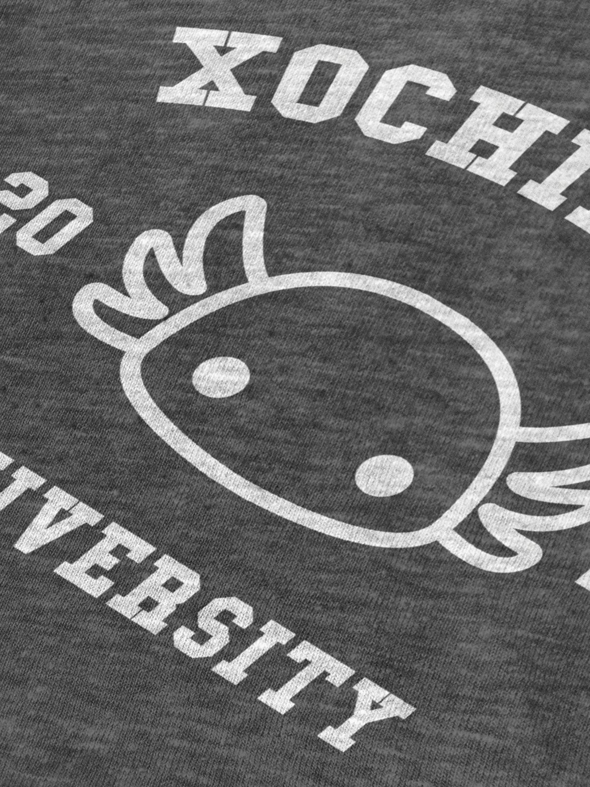 Xochimilco University