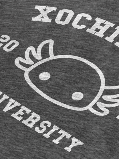 Xochimilco University