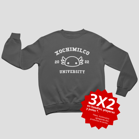 Xochimilco University