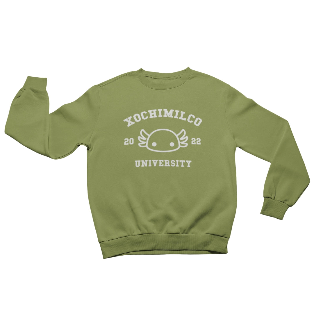 Xochimilco University