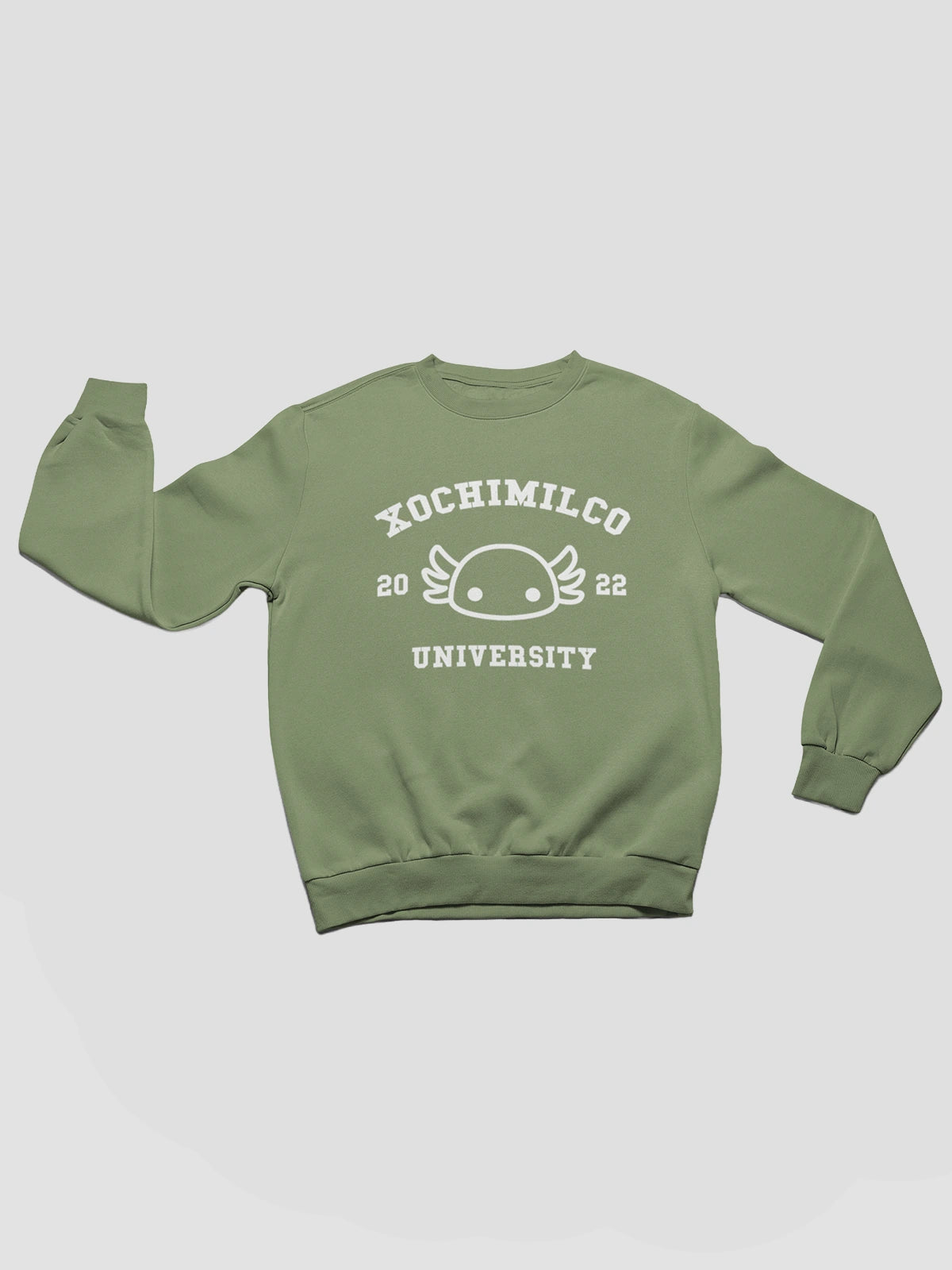 Xochimilco University